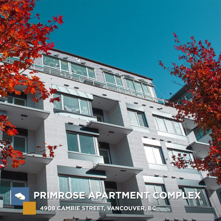 126185568 3480739791991013 9091495885272194623 o 768x768