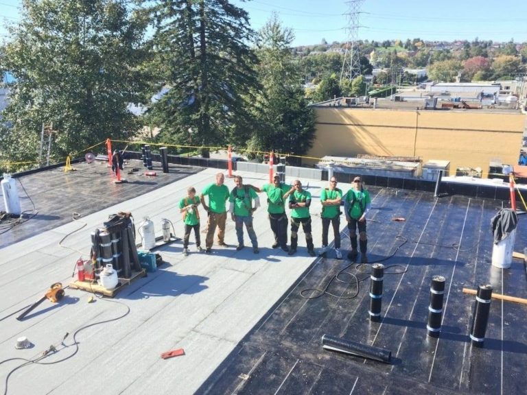 4C3FA64E B863 4E33 81A7 C22CAB9B6CF5 768x576