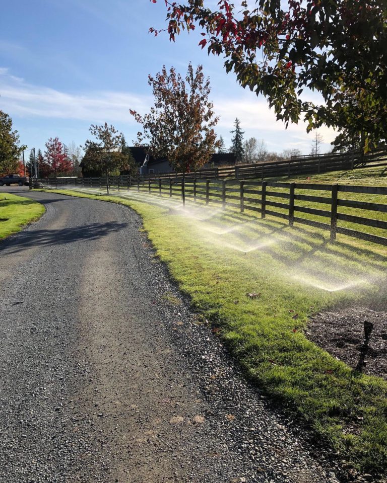 6794C6CF 5831 43D7 915A 3EA70EFDAE5B 768x960