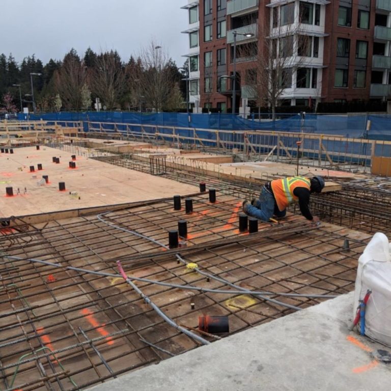 97BF0BA6 1BE6 4E5D 86E9 03265E24041D 768x767