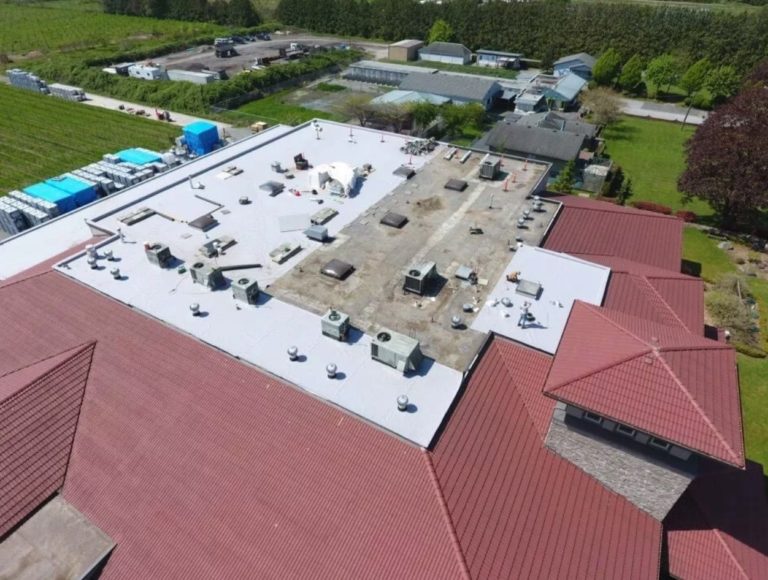 A861D9D8 441B 47DE 9BB8 EB345E478C55 768x580