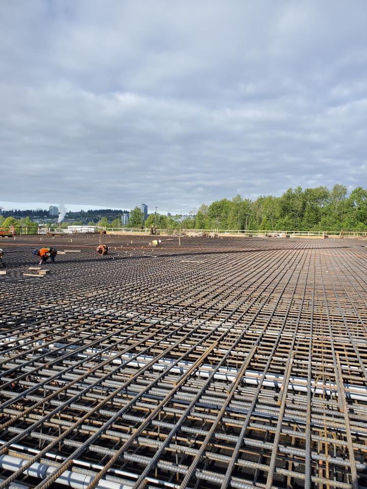 100049605 3470449026317707 175795644240232448 n