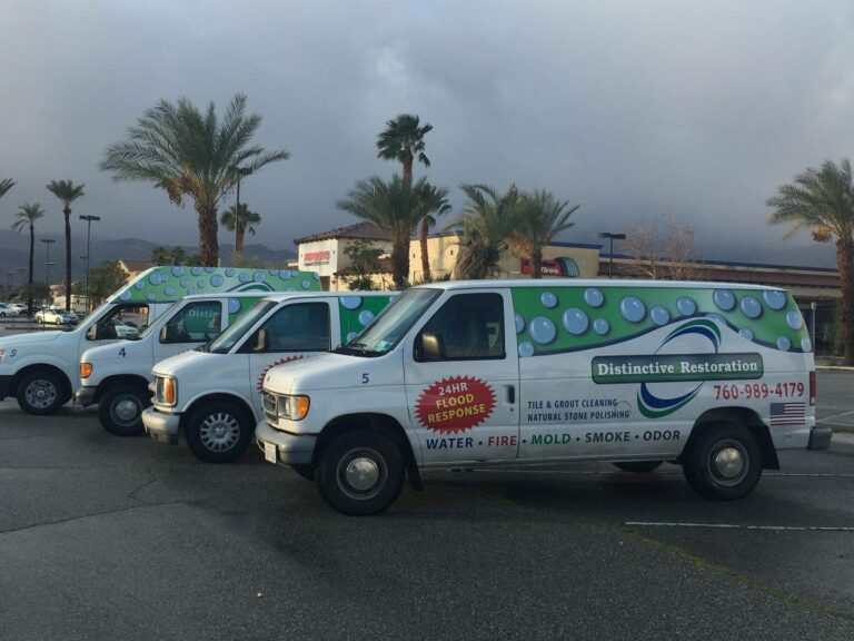 16707666 1787458531517771 3093063415559534771 o 768x576