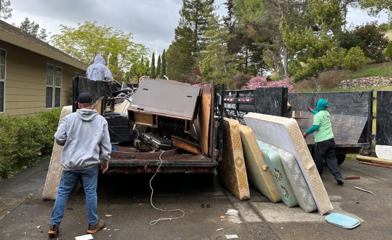 The Ark Hauling Image 2 768x470