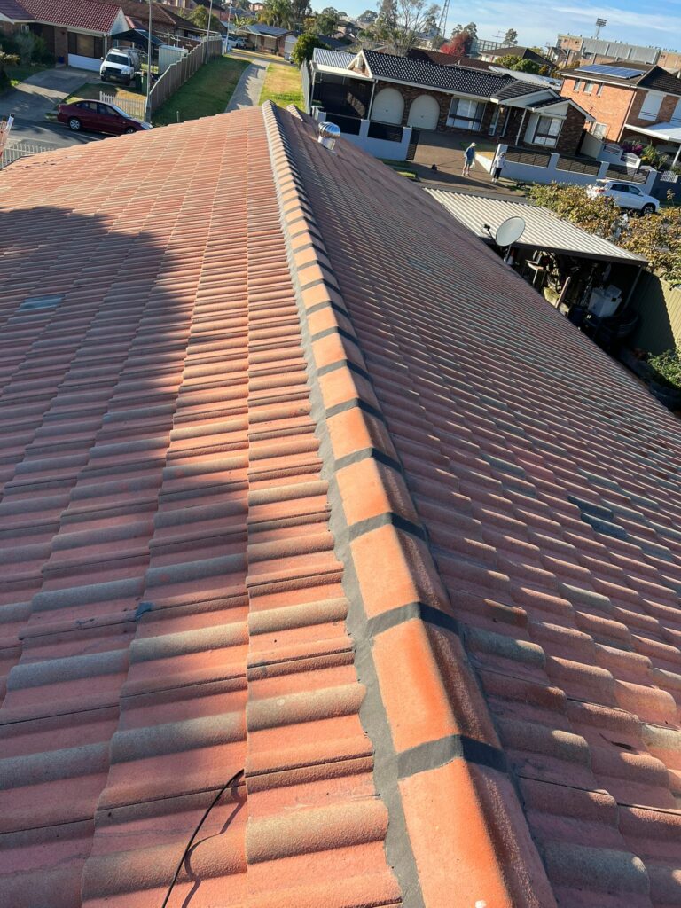 MJ Roof Painting roof deterioration repairs sydney 768x1024