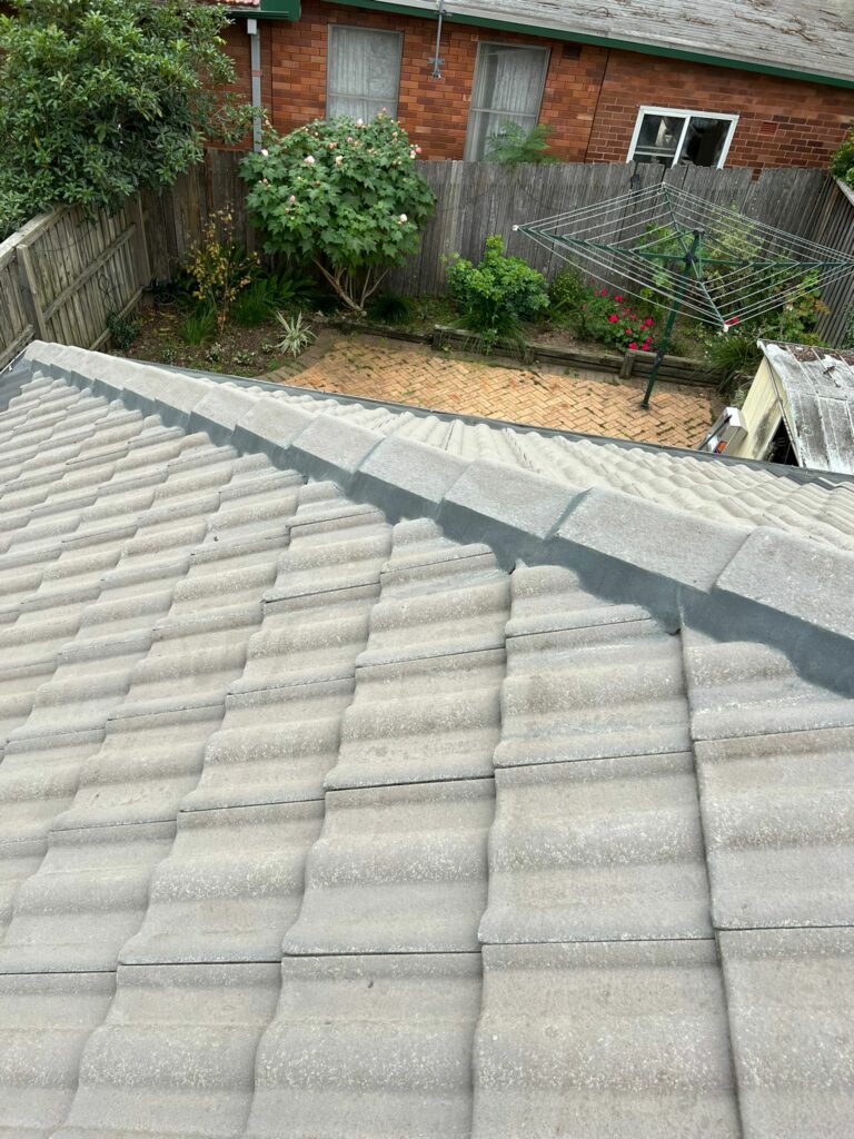 MJ Roof Painting roof leaks sydney 768x1024