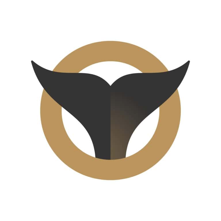 Orca Roofing Exteriors 768x768