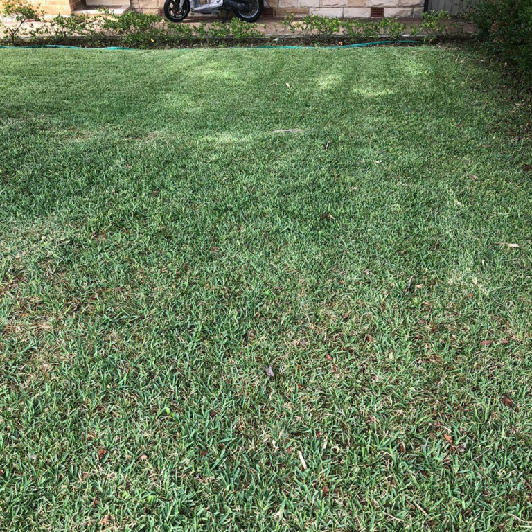 Gardening 0019 768x768