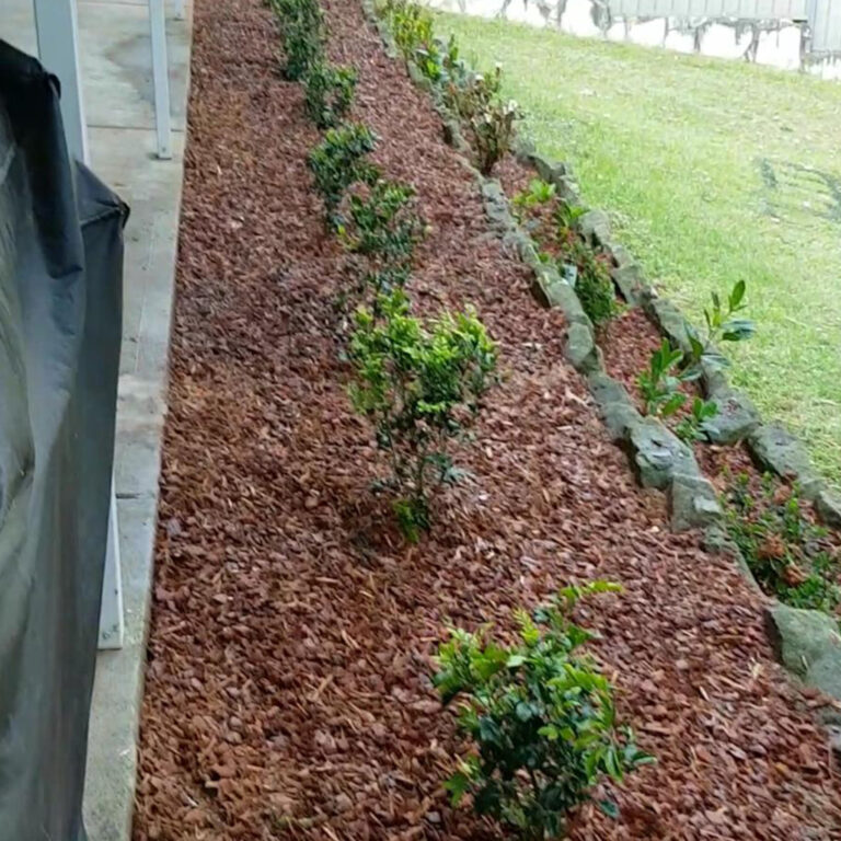 Gardening 0023 768x768