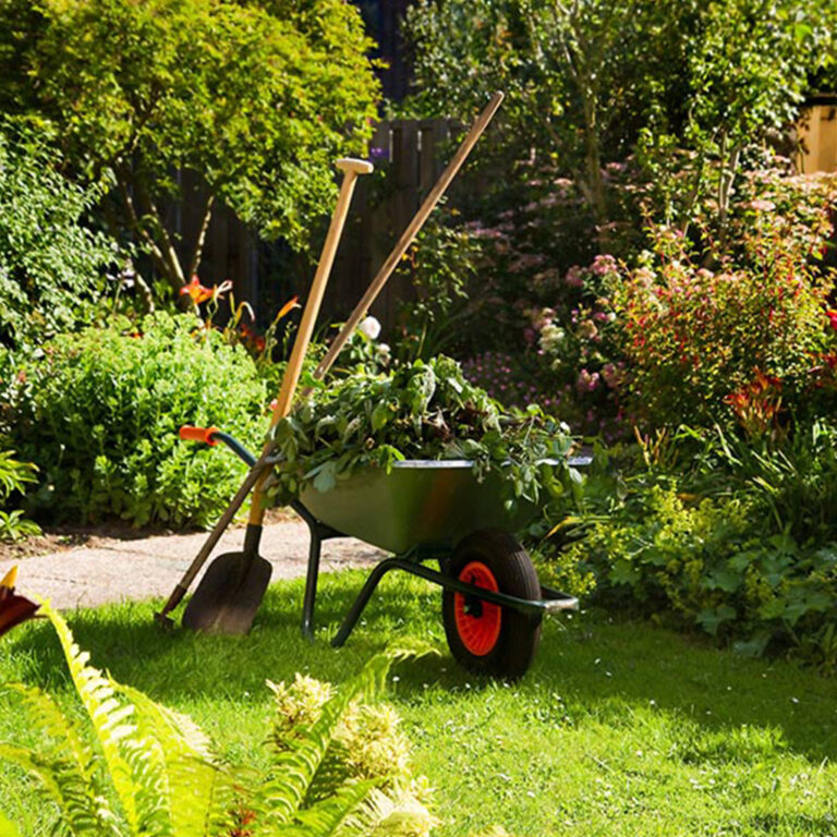 AAA Able Abaca Gardening & landscaping Gardening 0030 768x768 1