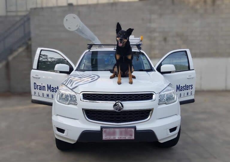 Drain Masters Plumbing local brisbane plumbers 768x542