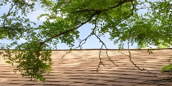 Residential Roofing