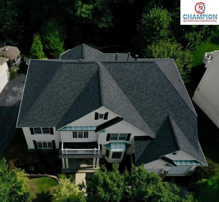 additional photo 2 8 768x708