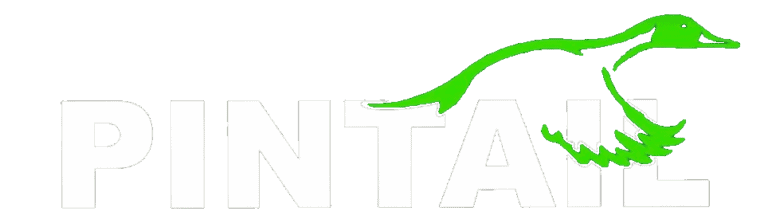 Logo WebReady 768x223