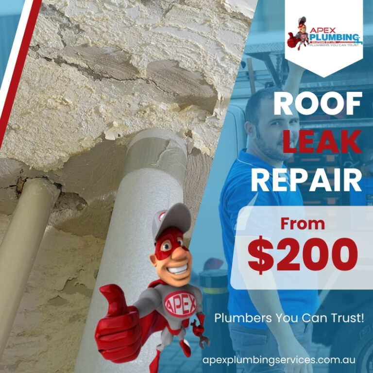 Apex Plumbing Services Roof Leak Repair Specials 768x768