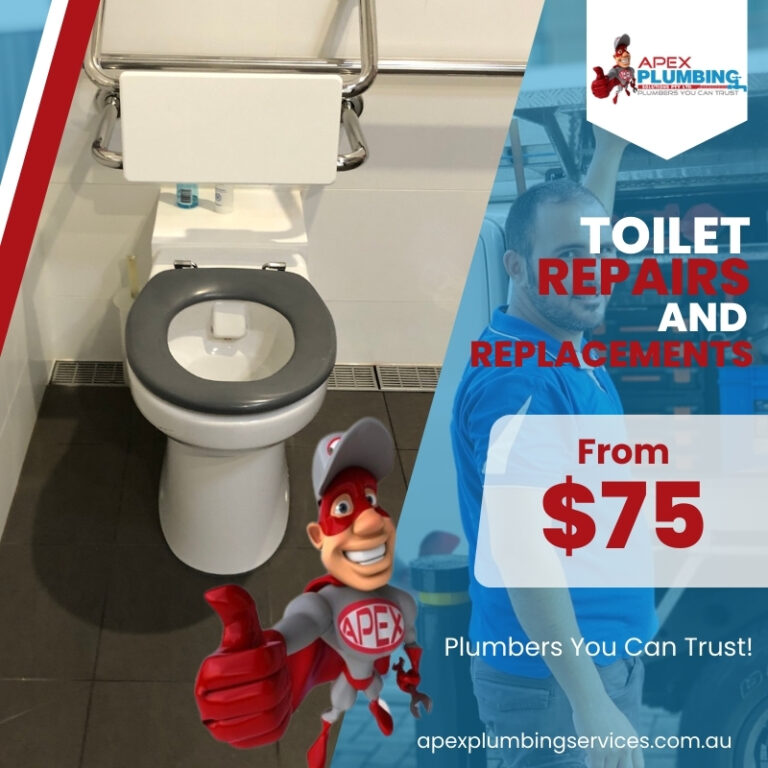 Apex Plumbing Services Toilet Repairs Replacements Specials 768x768
