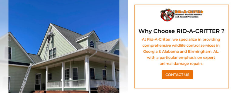 Rid A Critter Graphics 1000 x400 768x307