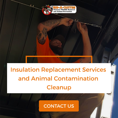 Rid A Critter Graphics 400x400 1