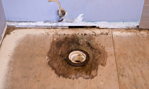 additional photo 2 9