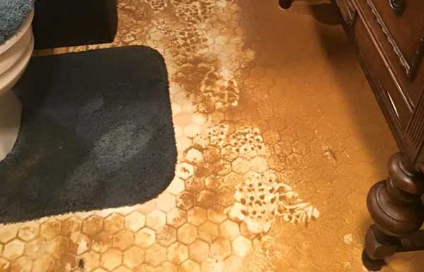 additional photo 5 28