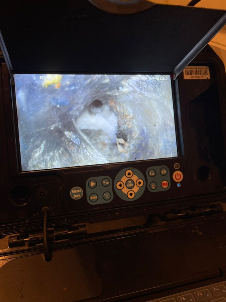 yDYaJwQRyQ323bl6jD2HihdJI79LhSBCNnrvT75y 768x1024