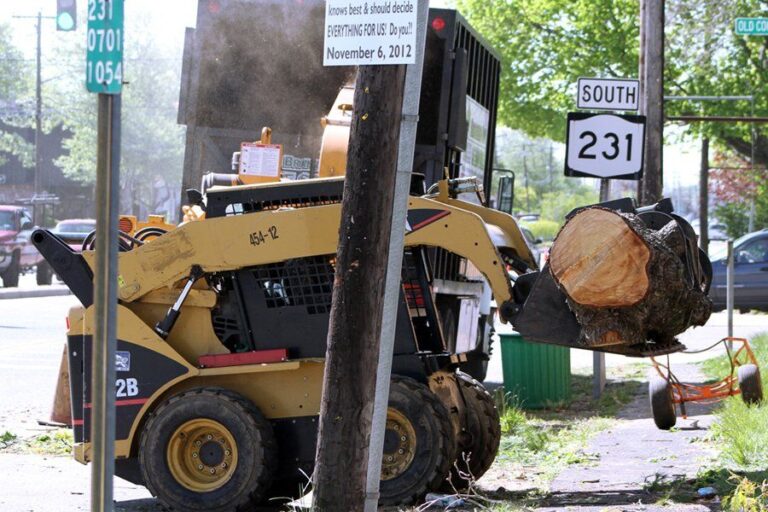 4BDosHuFBQJ6vsz89AKie8S9k7tyDlHkyJsfw3rc 768x512