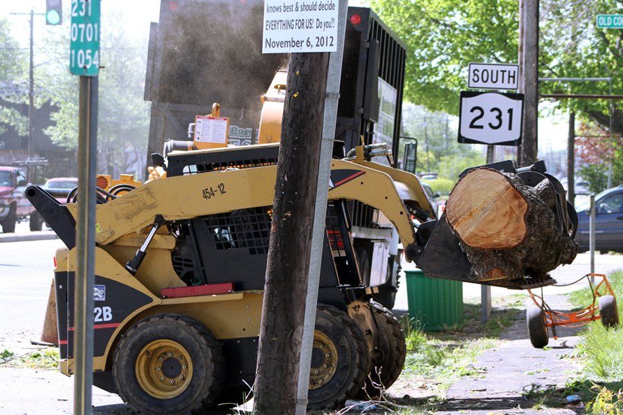 Branching Out Tree Service Branching Out Tree Service -