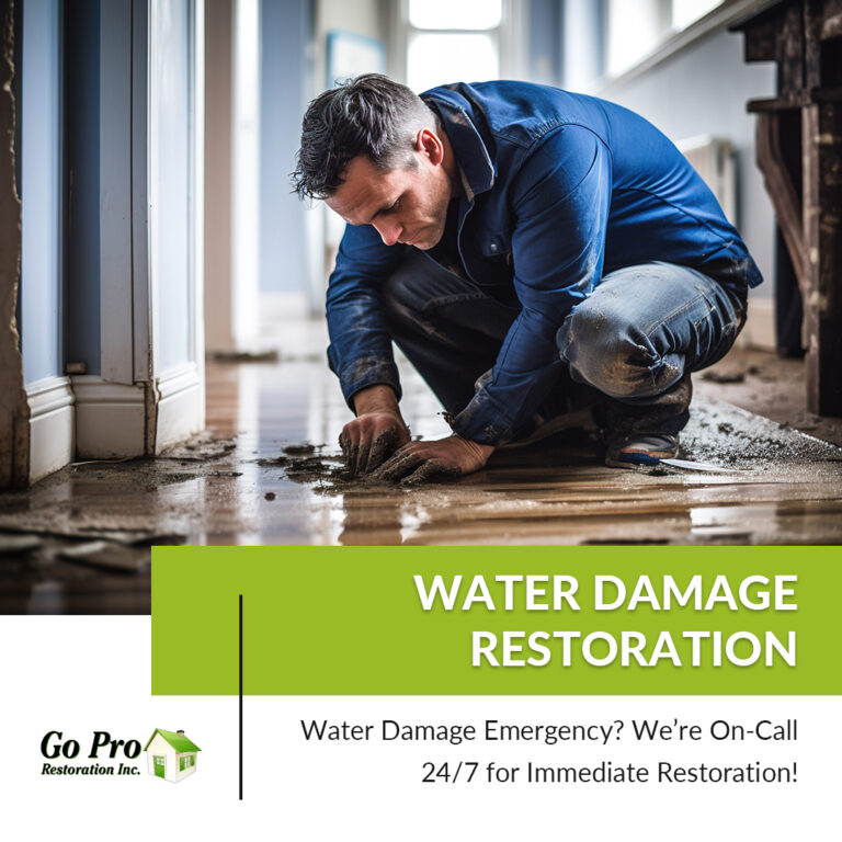 Go Pro Restoration Toronto LpQvOVINFHjm6Bg4D53uVQAQnns8jTgRjeJc0H3m 768x768