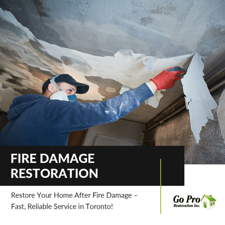 Go Pro Restoration Toronto RYlOakctspFDmDvZ6FUY3Q6VzlK8PHr5GMOYE8OC 768x768