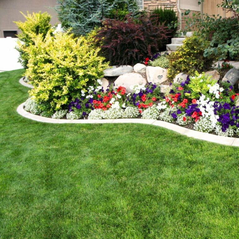 U3KqLLzF16JNv0y6HxvDVtZMORcnrnIwwY0yjld1 768x768