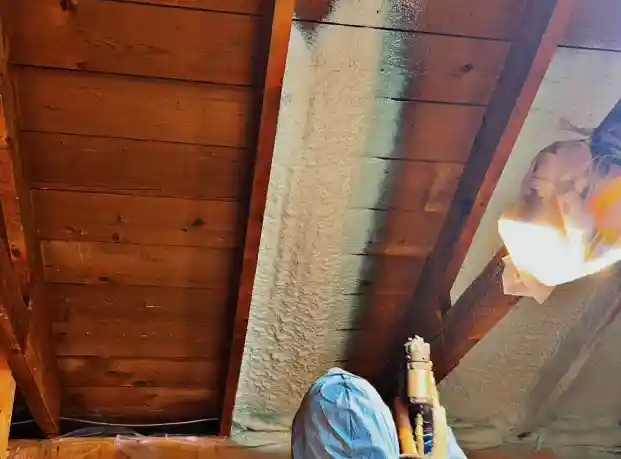 attic insulation leduc ab