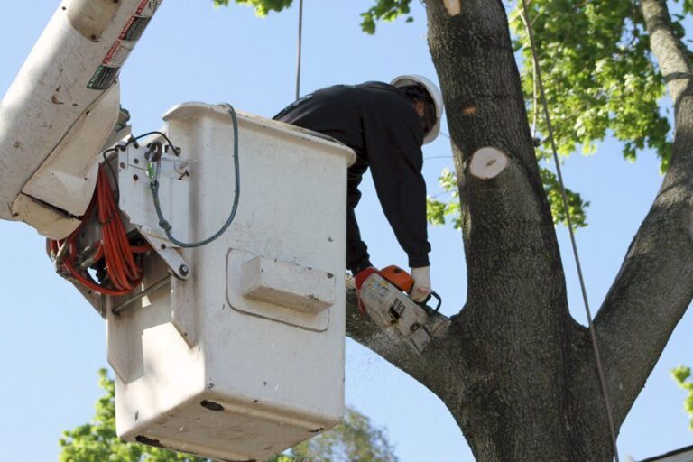 i41scbpyXPWbGDaTXzAsGHlG0TZyi6VykWrZsBHc 768x512