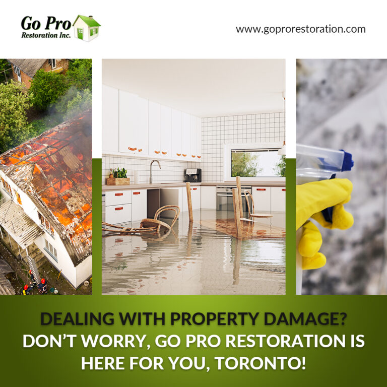 Go Pro Restoration Toronto iVtezI5qvMXTdJ5dcrXMY15MexIEJ7RJrBKAmAjZ 768x768