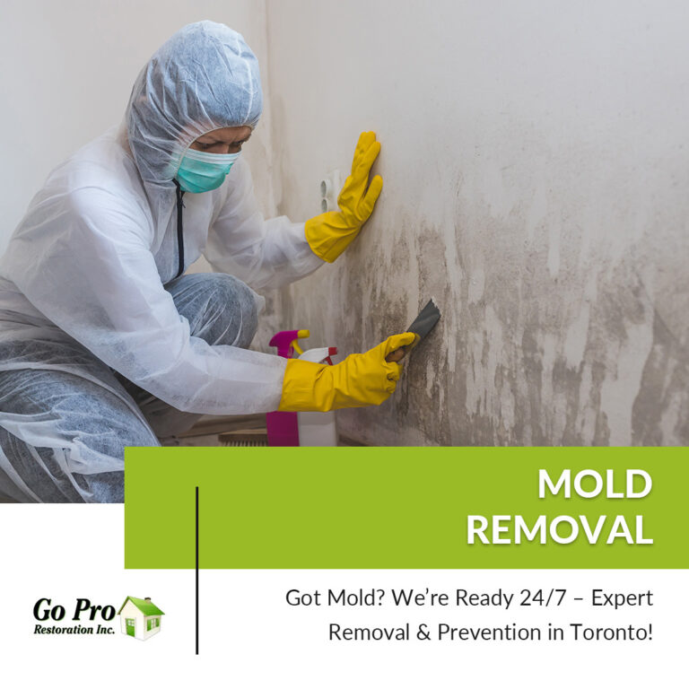 Go Pro Restoration Toronto zrAAxjp9j9bTPQzYhxvvnZfKSVZohK80exzLZWR2 768x768