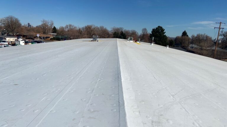 additional photo 5 4 768x432