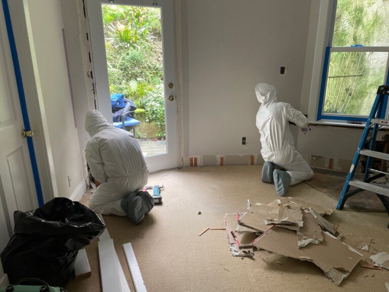 down net http20241023 109 utljxd 768x576