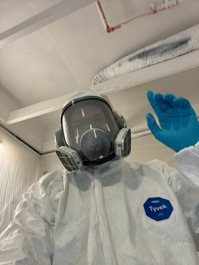 down net http20241028 102 wiwe5 768x1024