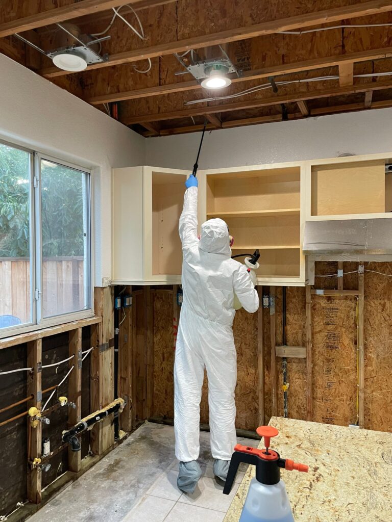 down net http20241028 75 mzbbq8 768x1024