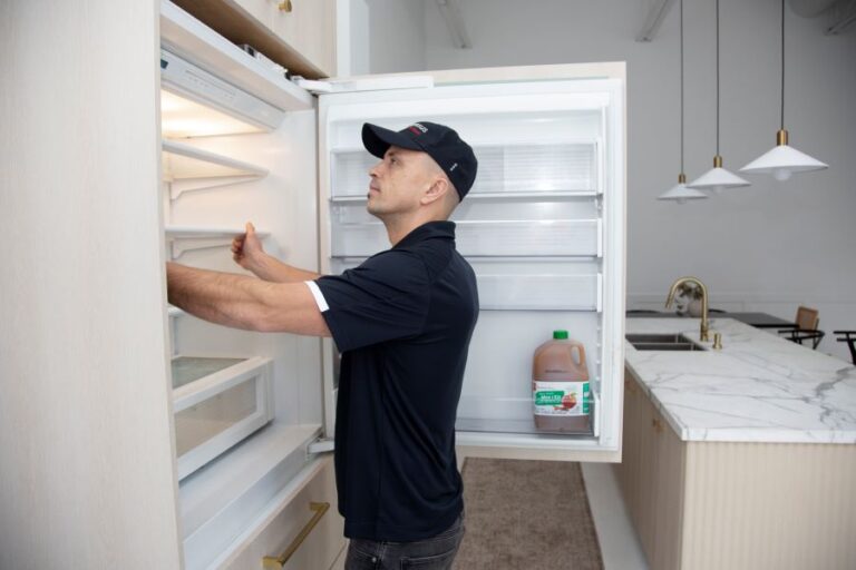 l9NP7NTsXjO6QoL1M15UJabreqg8RWkiIPlrKksp 768x512