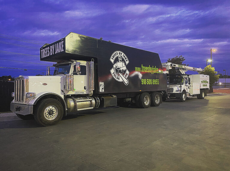 nrI1rakwvwBBDGRl1Hg5f8x7Bc8ytOy3s6dLHMg8 768x570