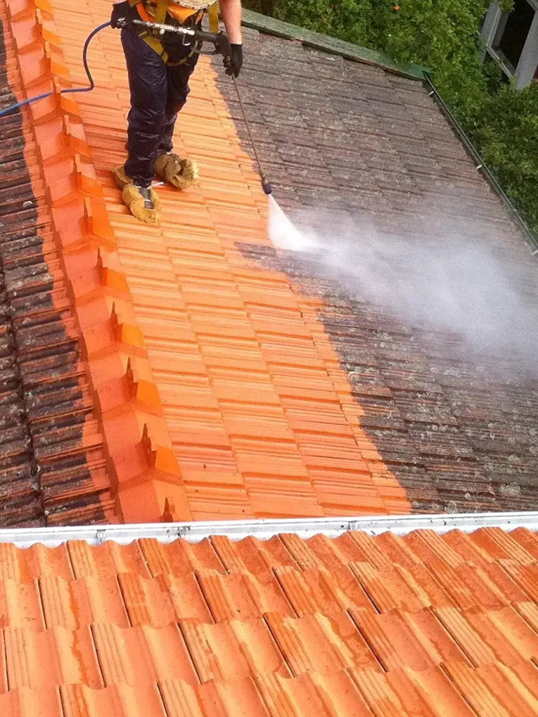 Roof Cleaning