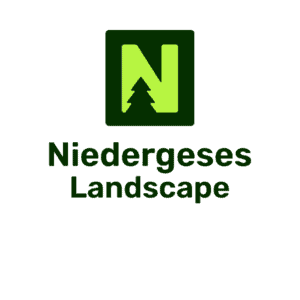 Niedergeses Landscape -