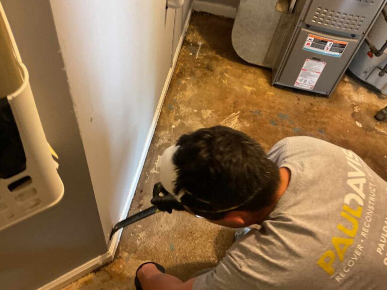 additional photo 2 4 768x576