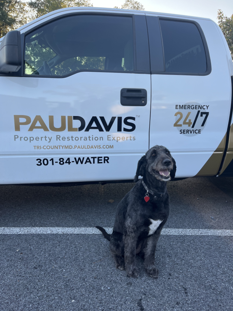 additional photo 3 10