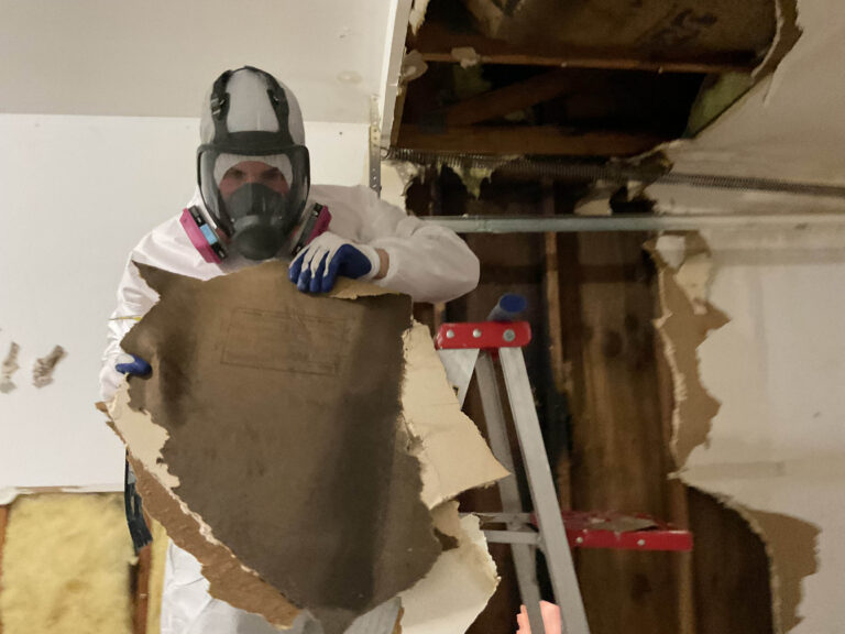 additional photo 4 copy 2 768x576