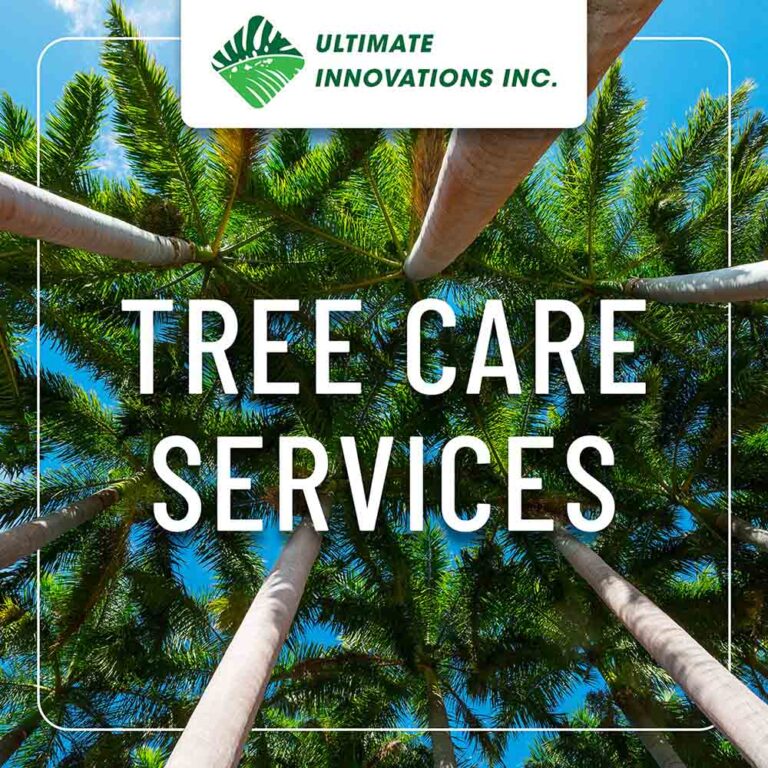 Ultimate Innovations Ce71rGSUHEKsPzTchmx3CNSjrbMoBxSPdMxf4Hk2 copy 768x768