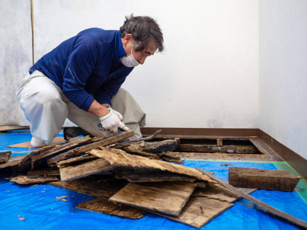 Water Damage Restoration