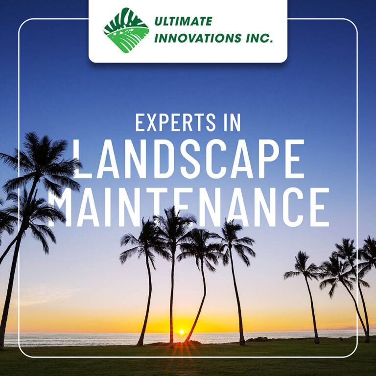 Ultimate Innovations aJnypPeuxPaQNveVcZE8L4iPWPW8rQrPWTjF6G9w copy 768x768