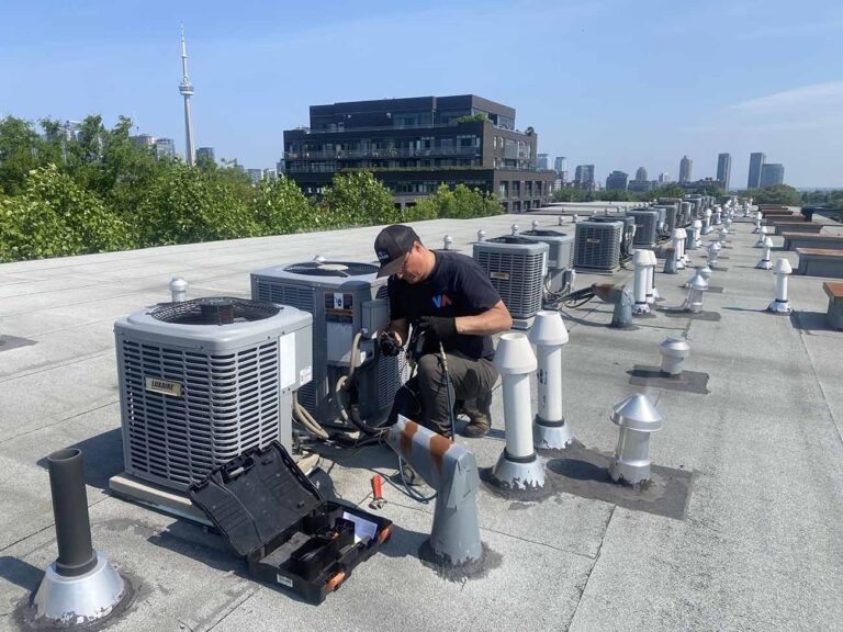 csXRU71TE7SX1VGTuWyrEl6afbyha3jxq9OuBNcF copy 768x576