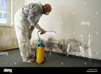 All Clear Environmental Services, LLC download 11